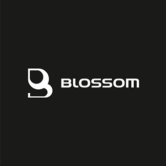 Blossom Modern Logo